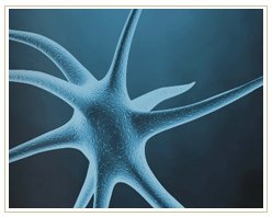 Slider image (9) ADIVA | Stem Cell Therapy Center